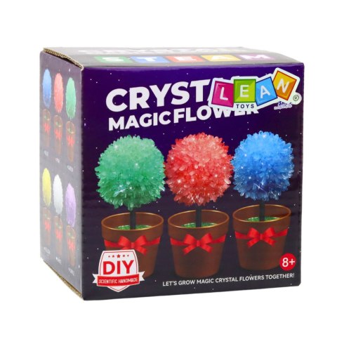 Hodowla Kryształów Magiczne Drzewko Kryształowe Eksperyment Edukacyjny