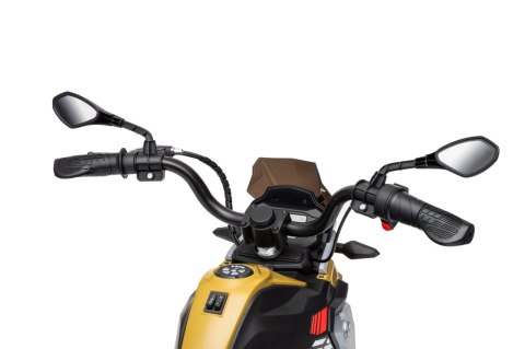 Pojazd Motor BMW G310GS Szampański