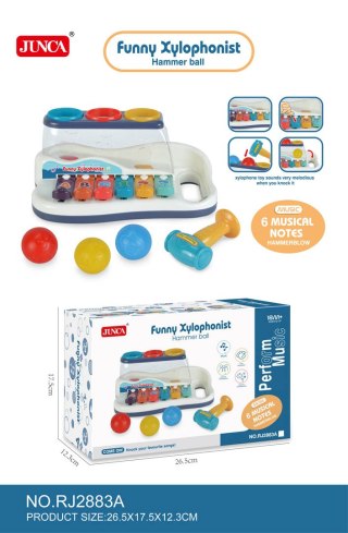 Zestaw Muzyczny 2w1