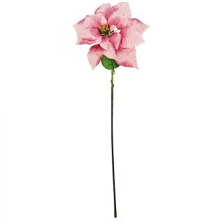 GWIAZDA BETLEJEMSKA 30CM RÓŻOWA