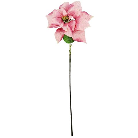 GWIAZDA BETLEJEMSKA 30CM RÓŻOWA