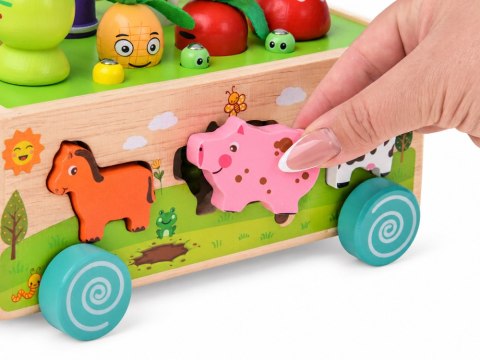 Drewniany SORTER 3w1 wózek, łowienie robaczków, wsadzanie zwierząt ZA6291