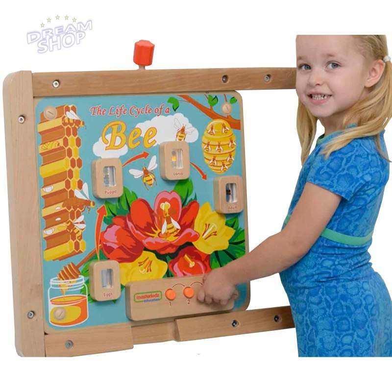 Cykl Życia Pszczoły Edukacyjna Tablica Dla Dzieci Masterkidz Cykl Życia Pszczoły Edukacyjna Tablica Dla Dzieci Masterkidz