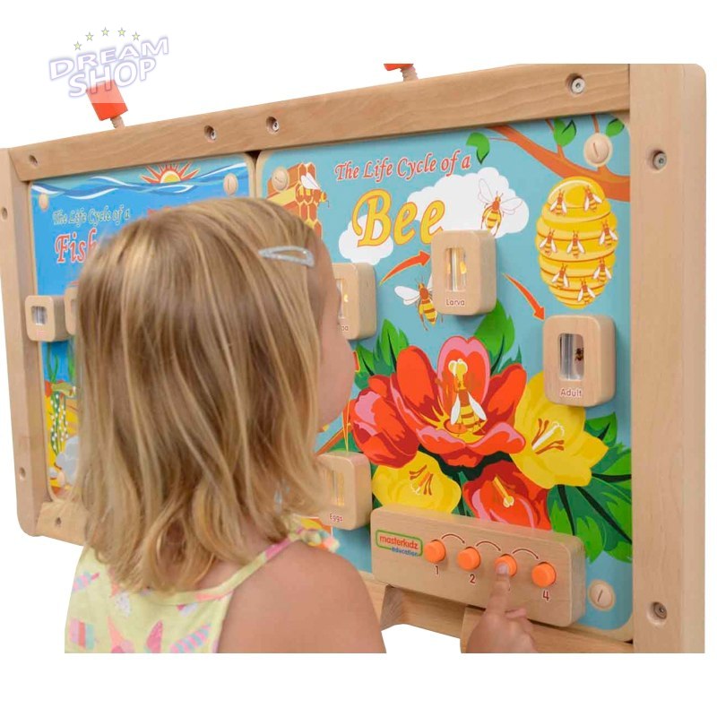 Cykl Życia Pszczoły Edukacyjna Tablica Dla Dzieci Masterkidz Cykl Życia Pszczoły Edukacyjna Tablica Dla Dzieci Masterkidz