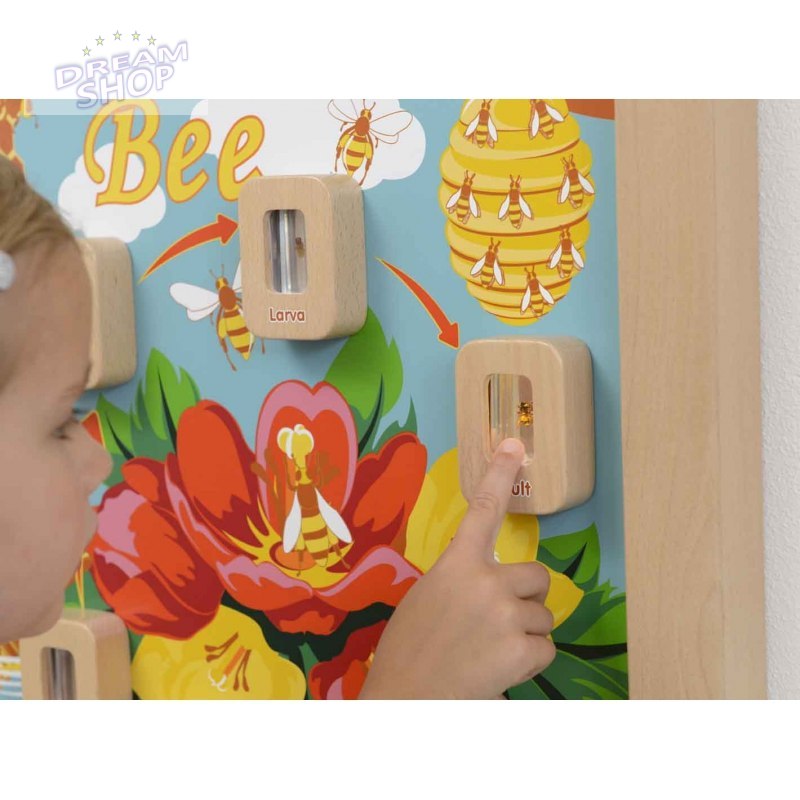 Cykl Życia Pszczoły Edukacyjna Tablica Dla Dzieci Masterkidz Cykl Życia Pszczoły Edukacyjna Tablica Dla Dzieci Masterkidz