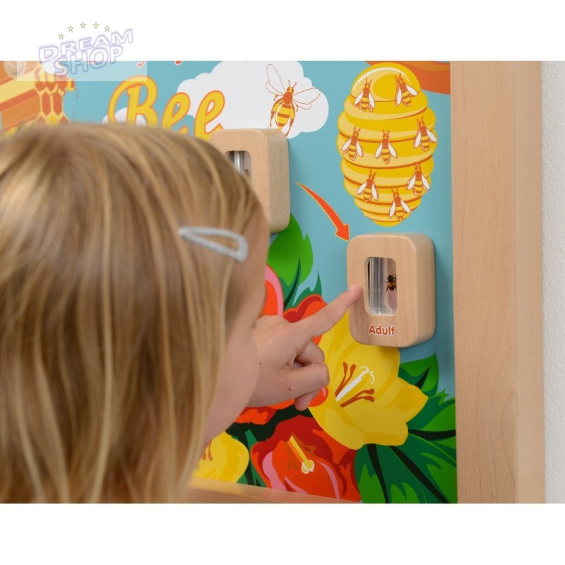 Cykl Życia Pszczoły Edukacyjna Tablica Dla Dzieci Masterkidz Cykl Życia Pszczoły Edukacyjna Tablica Dla Dzieci Masterkidz