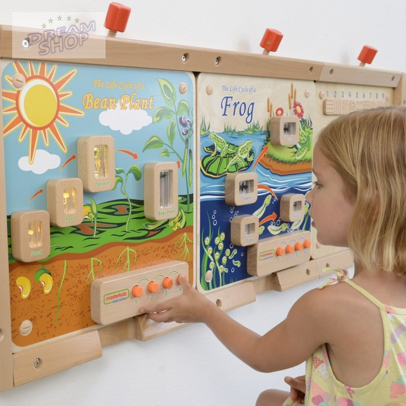 Cykl Życia Rośliny Tablica Edukacyjna Masterkidz Cykl Życia Rośliny Tablica Edukacyjna Masterkidz