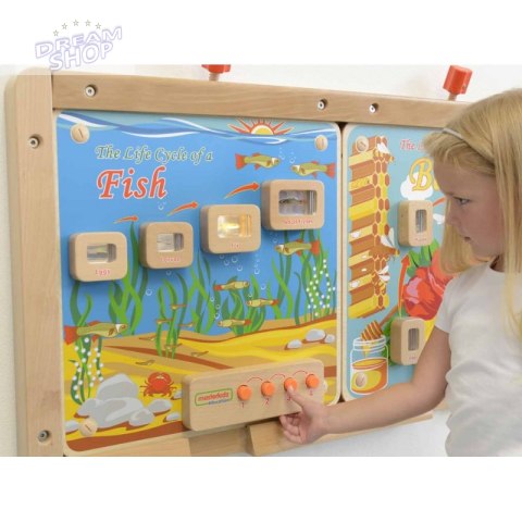 Cykl Życia Ryby Tablica Edukacyjna Masterkidz Podświetlana Cykl Życia Ryby Tablica Edukacyjna Masterkidz Podświetlana