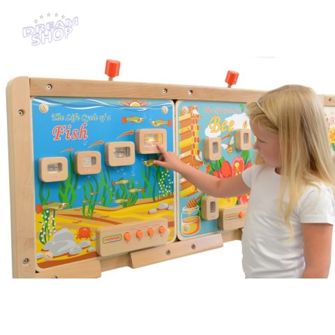 Cykl Życia Ryby Tablica Edukacyjna Masterkidz Podświetlana Cykl Życia Ryby Tablica Edukacyjna Masterkidz Podświetlana