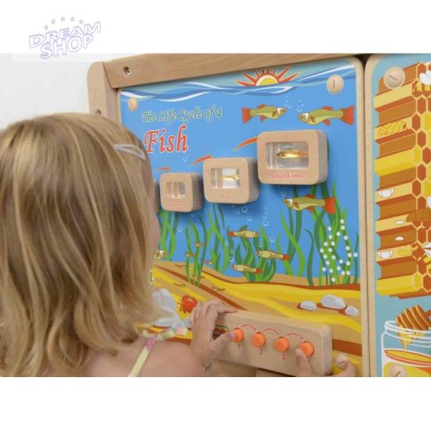Cykl Życia Ryby Tablica Edukacyjna Masterkidz Podświetlana Cykl Życia Ryby Tablica Edukacyjna Masterkidz Podświetlana