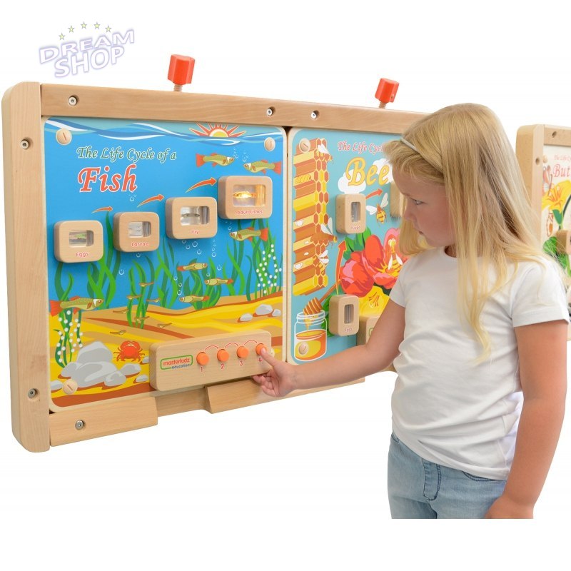 Cykl Życia Ryby Tablica Edukacyjna Masterkidz Podświetlana Cykl Życia Ryby Tablica Edukacyjna Masterkidz Podświetlana