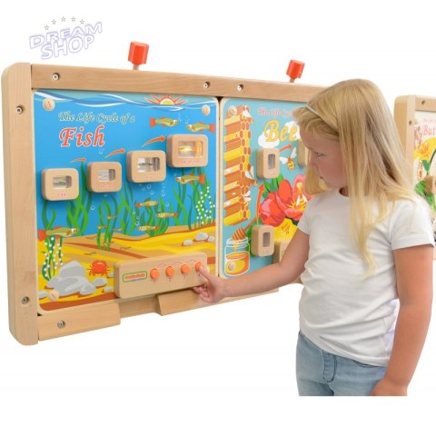 Cykl Życia Ryby Tablica Edukacyjna Masterkidz Podświetlana Cykl Życia Ryby Tablica Edukacyjna Masterkidz Podświetlana