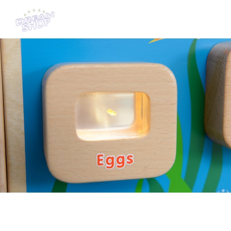 Cykl Życia Ryby Tablica Edukacyjna Masterkidz Podświetlana Cykl Życia Ryby Tablica Edukacyjna Masterkidz Podświetlana