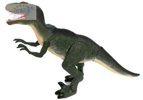 Dinozaur Velociraptor Porusza się Ryczy Świeci Dinozaur Velociraptor Porusza się Ryczy Świeci