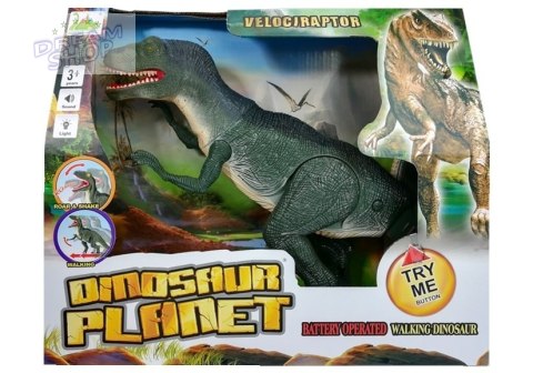 Dinozaur Velociraptor Porusza się Ryczy Świeci Dinozaur Velociraptor Porusza się Ryczy Świeci