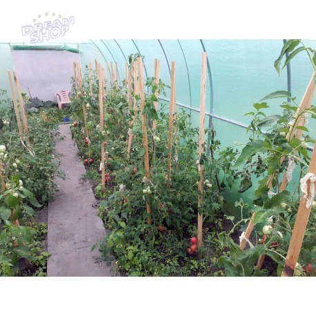 Tunel foliowy - szklarnia ogrodowa 3x6m Tunel foliowy - szklarnia ogrodowa 3x6m