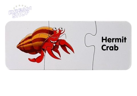 Puzzle Edukacyjne Układanka Świat Oceanów 10 Połączeń Puzzle Edukacyjne Układanka Świat Oceanów 10 Połączeń