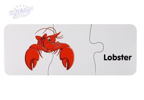 Puzzle Edukacyjne Układanka Świat Oceanów 10 Połączeń Puzzle Edukacyjne Układanka Świat Oceanów 10 Połączeń