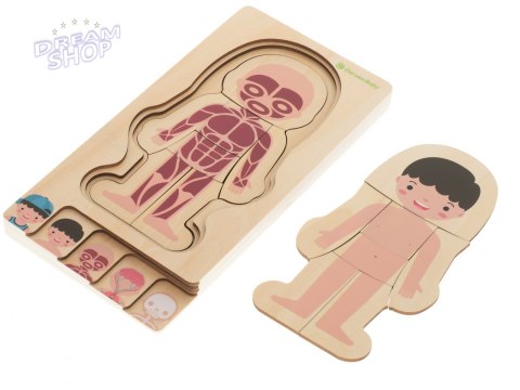 Puzzle drewniane ciało anatomia chłopczyk