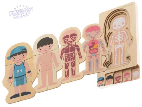 Puzzle drewniane ciało anatomia chłopczyk