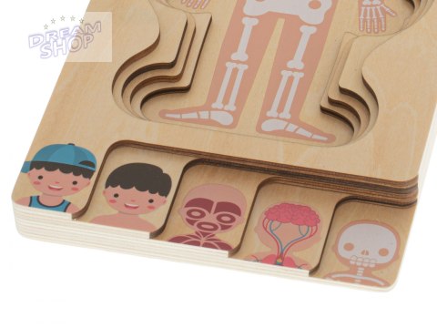 Puzzle drewniane ciało anatomia chłopczyk