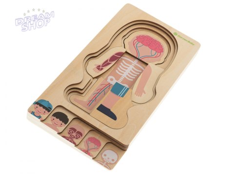 Puzzle drewniane ciało anatomia chłopczyk