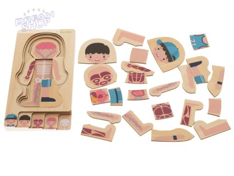 Puzzle drewniane ciało anatomia chłopczyk