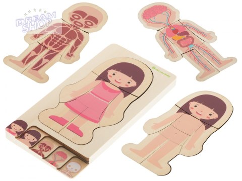 Puzzle drewniane ciało anatomia dziewczynka