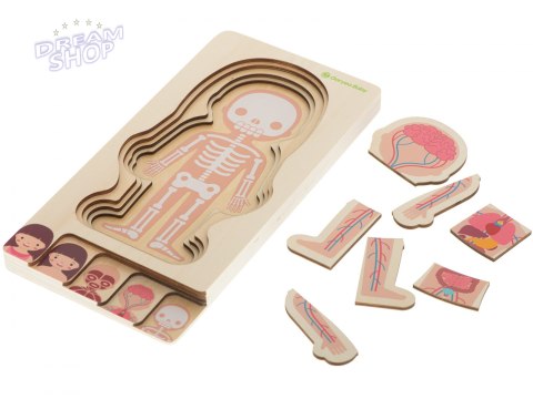 Puzzle drewniane ciało anatomia dziewczynka