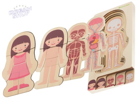 Puzzle drewniane ciało anatomia dziewczynka