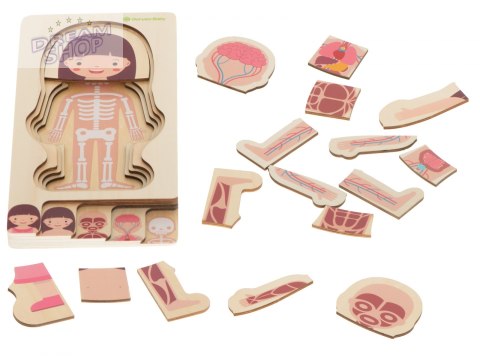 Puzzle drewniane ciało anatomia dziewczynka