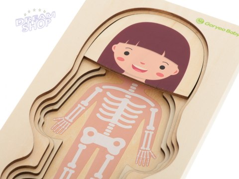Puzzle drewniane ciało anatomia dziewczynka