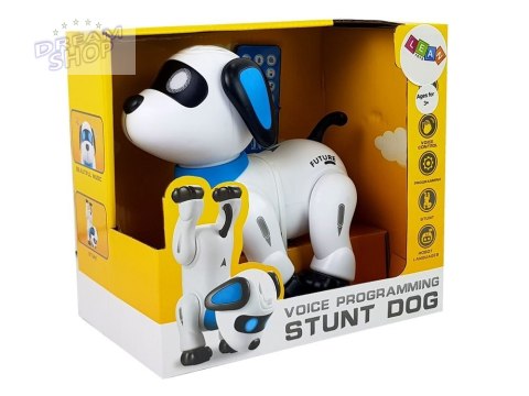 Pies Robot Zdalnie Sterowany Głosem Pilotem Tańczy Szczeka Wykonuje Komendy Pies Robot Zdalnie Sterowany Głosem Pilotem Tańczy Szczeka Wykonuje Komendy