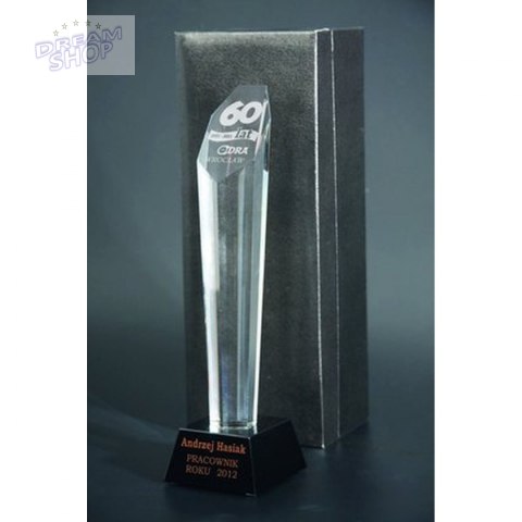 Trofeum Szklane Grawerowane Z Etui + Wypełnienie Farbą Trofeum Szklane Grawerowane Z Etui + Wypełnienie Farbą