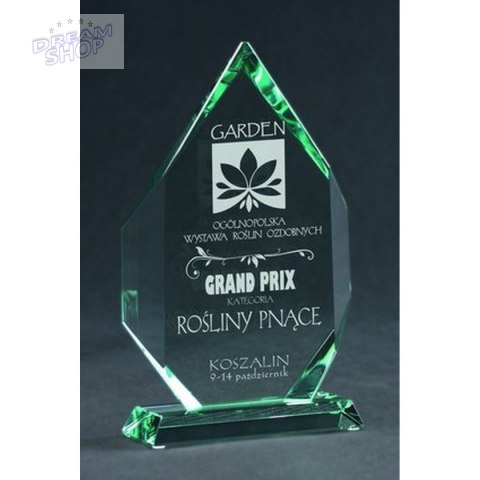 Trofeum Szklane Grawerowane Z Etui Trofeum Szklane Grawerowane Z Etui