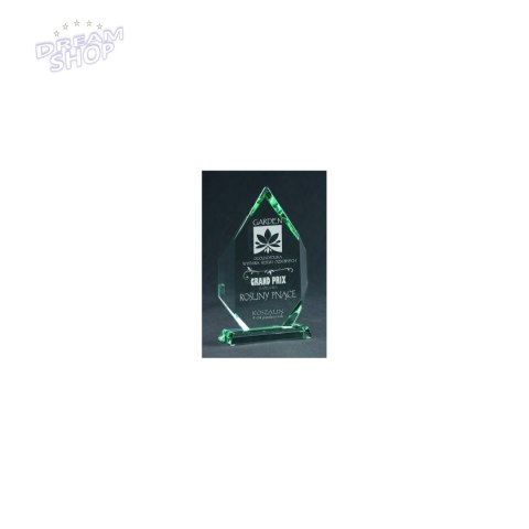 Trofeum Szklane Grawerowane Z Etui Trofeum Szklane Grawerowane Z Etui