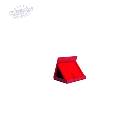 Etui Z Tworzywa Sztucznego Poziome W Kolorze Czerwonym - Na Deskę 305X230 Etui Z Tworzywa Sztucznego Poziome W Kolorze Czerwonym - Na Deskę 305X230