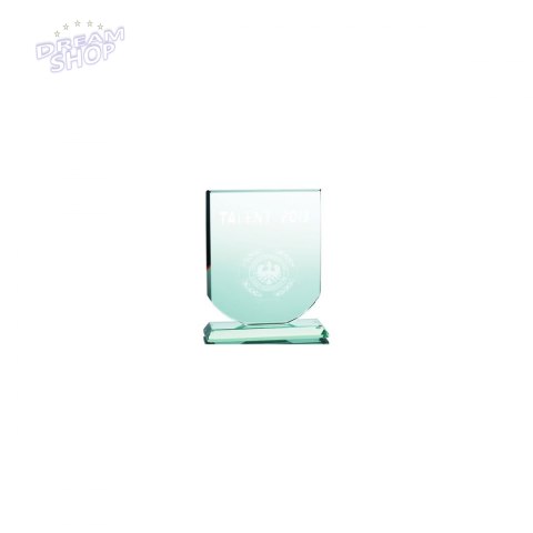 Trofeum Szklane Grawerowane 3D Z Etui Trofeum Szklane Grawerowane 3D Z Etui