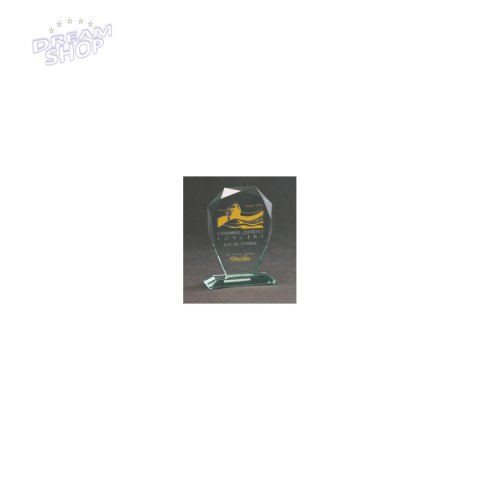 Trofeum Szklane Grawerowane Z Etui +Wypełnianie Farbą Trofeum Szklane Grawerowane Z Etui +Wypełnianie Farbą