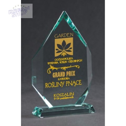 Trofeum Szklane Grawerowane Z Etui +Wypełnianie Farbą Trofeum Szklane Grawerowane Z Etui +Wypełnianie Farbą