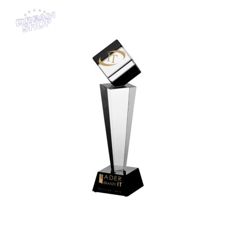 Trofeum Szklane Grawerowane Z Etui + Wypełnienie Farbą Trofeum Szklane Grawerowane Z Etui + Wypełnienie Farbą