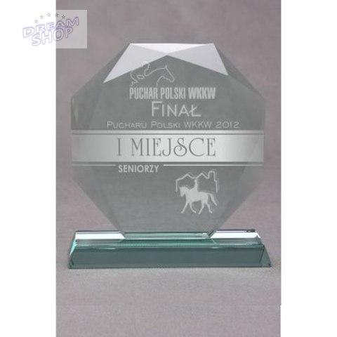 Trofeum Szklane Grawerowane Z Etui Trofeum Szklane Grawerowane Z Etui