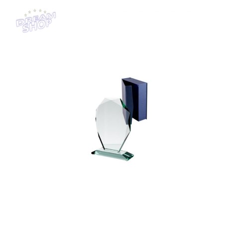 Trofeum Szklane Z Etui Trofeum Szklane Z Etui