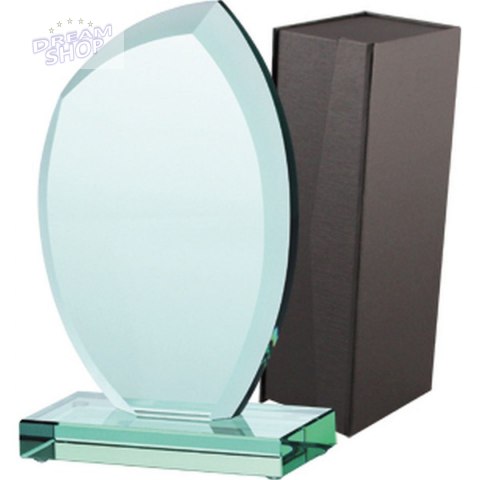 Trofeum Szklane Z Etui Trofeum Szklane Z Etui