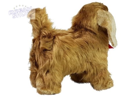 Interaktywny Pies Cocker Spaniel Porusza się, Szczeka Interaktywny Pies Cocker Spaniel Porusza się, Szczeka