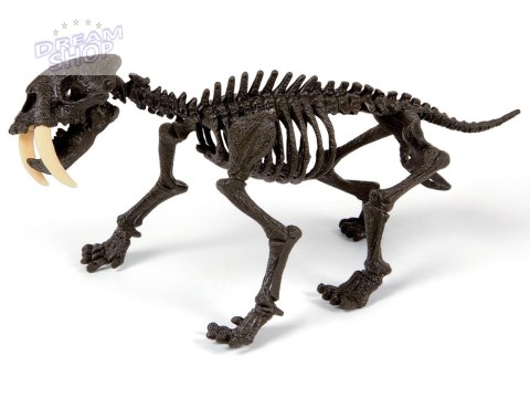 Clementoni Smilodon Zbuduj szkielet tygrysa ZA3713 Clementoni Smilodon Zbuduj szkielet tygrysa ZA3713