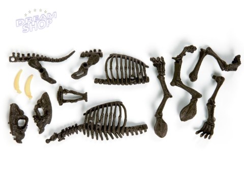 Clementoni Smilodon Zbuduj szkielet tygrysa ZA3713 Clementoni Smilodon Zbuduj szkielet tygrysa ZA3713