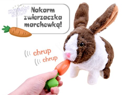 Interaktywny zwierzaczek chrupaczek Kicający Królik + marchewka ZA2685 Interaktywny zwierzaczek chrupaczek Kicający Królik + marchewka ZA2685