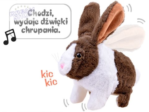 Interaktywny zwierzaczek chrupaczek Kicający Królik + marchewka ZA2685 Interaktywny zwierzaczek chrupaczek Kicający Królik + marchewka ZA2685