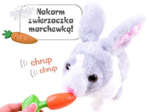 Interaktywny zwierzaczek chrupaczek Kicający Królik + marchewka ZA2685 Interaktywny zwierzaczek chrupaczek Kicający Królik + marchewka ZA2685